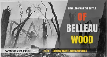 Battle of Belleau Wood: Duration and Key Historical Insights
