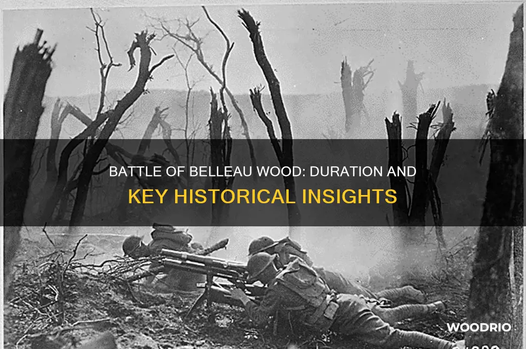 how long was the battle of belleau wood