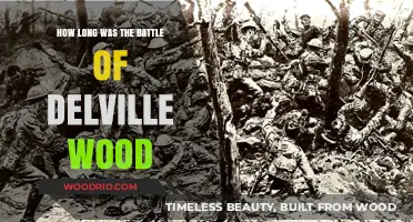 The Lengthy Battle of Delville Wood: Duration and Impact