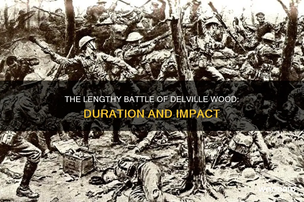 how long was the battle of delville wood