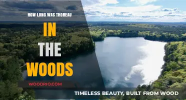 Thoreau's Woodland Retreat: Uncovering the Duration of His Nature Odyssey