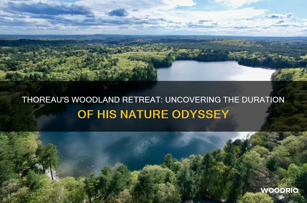 how long was thoreau in the woods