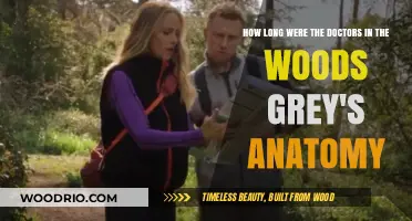 Grey's Anatomy: Unraveling the Duration of the Doctors' Woods Ordeal