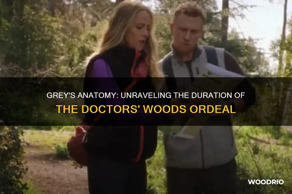 how long were the doctors in the woods grey