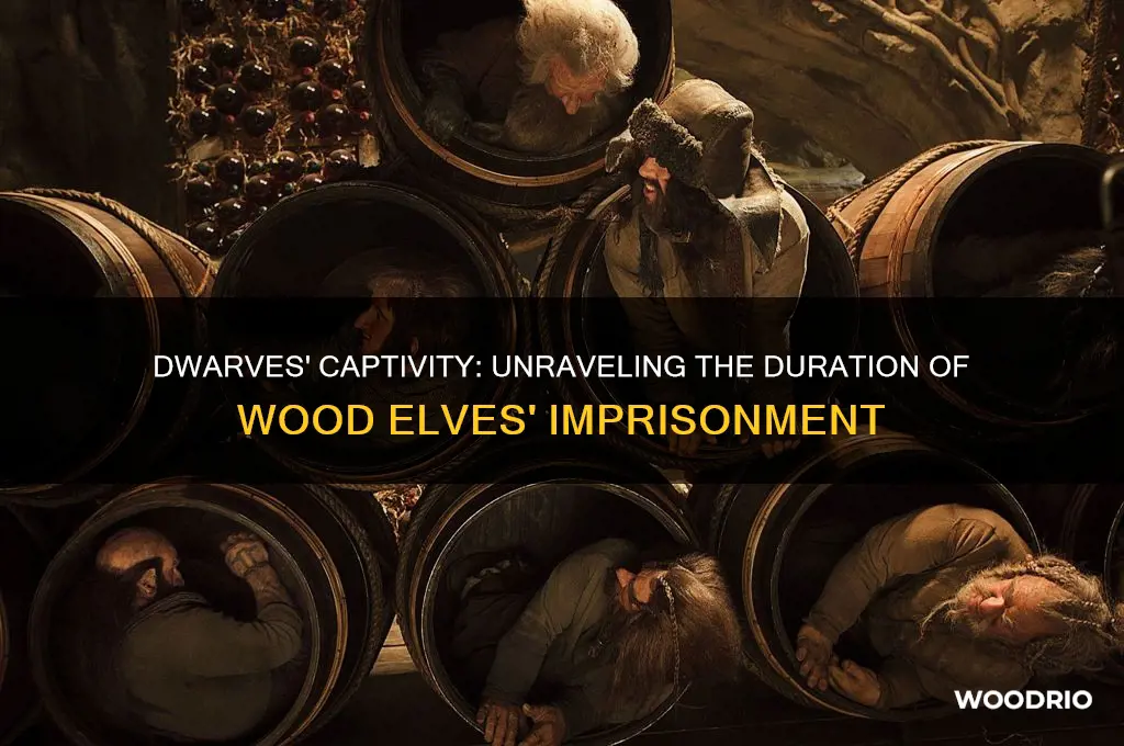 how long were the dwarves captured by the wood elves