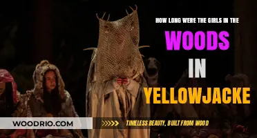 Yellowjackets' Survival Timeline: How Long Were the Girls Lost in the Woods?