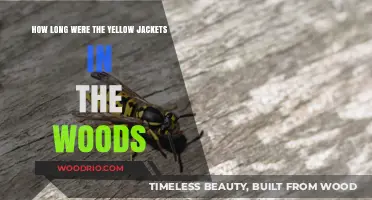 Unveiling the Mystery: Yellow Jackets' Duration in the Woods