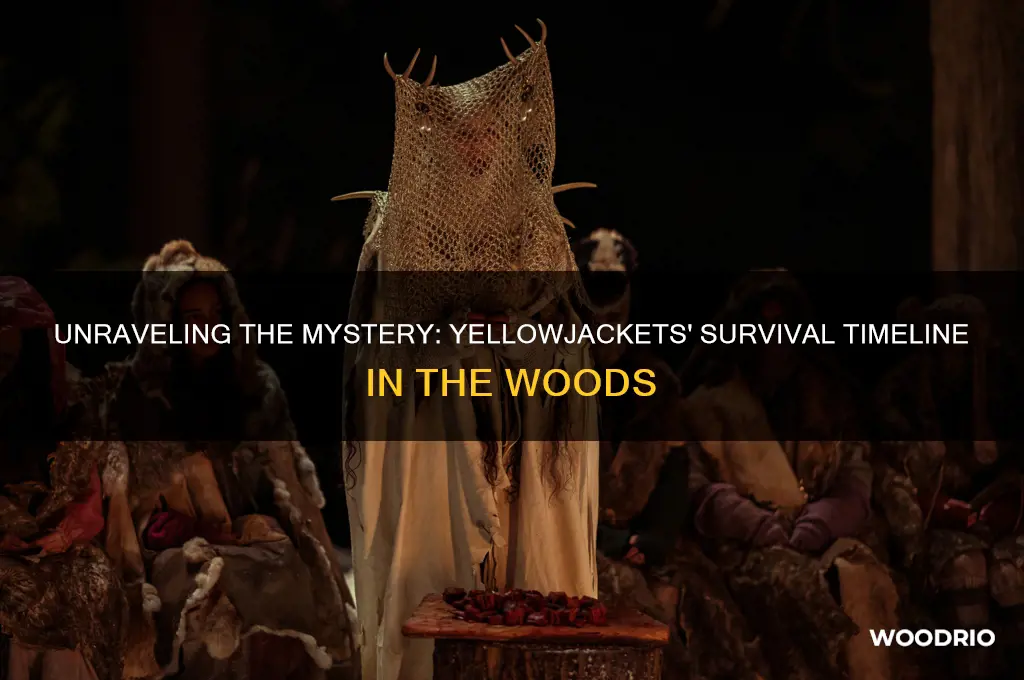 how long were the yellowjackets in the woods for
