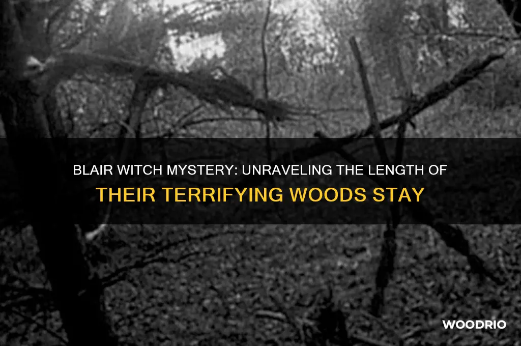 how long were they in the woods blair witch