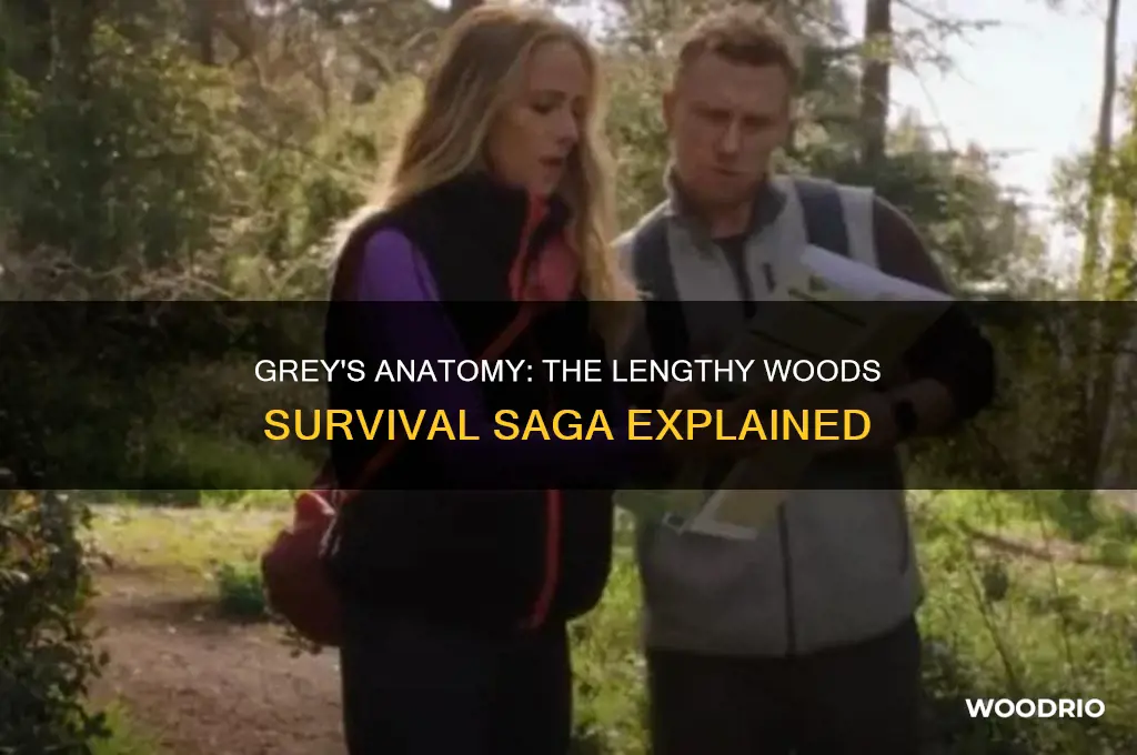 how long were they stuck in the woods grey