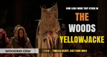 Yellowjackets' Harrowing Survival: How Long Were They Trapped in the Woods?