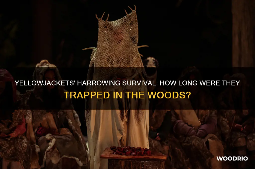 how long were they stuck in the woods yellowjackets