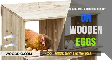 The Brooding Hen's Wooden Egg Saga: A Timeline