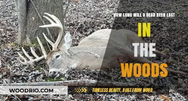 The Lifespan of a Fallen Buck: Nature's Course Unveiled