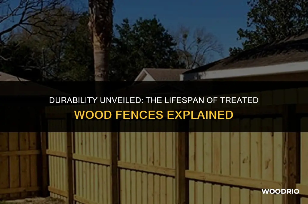 how long will a treated wood fence last