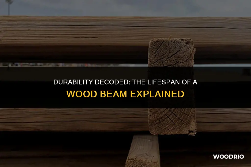 how long will a wood beam last