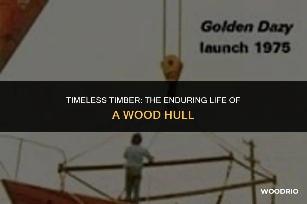 how long will a wood hull last