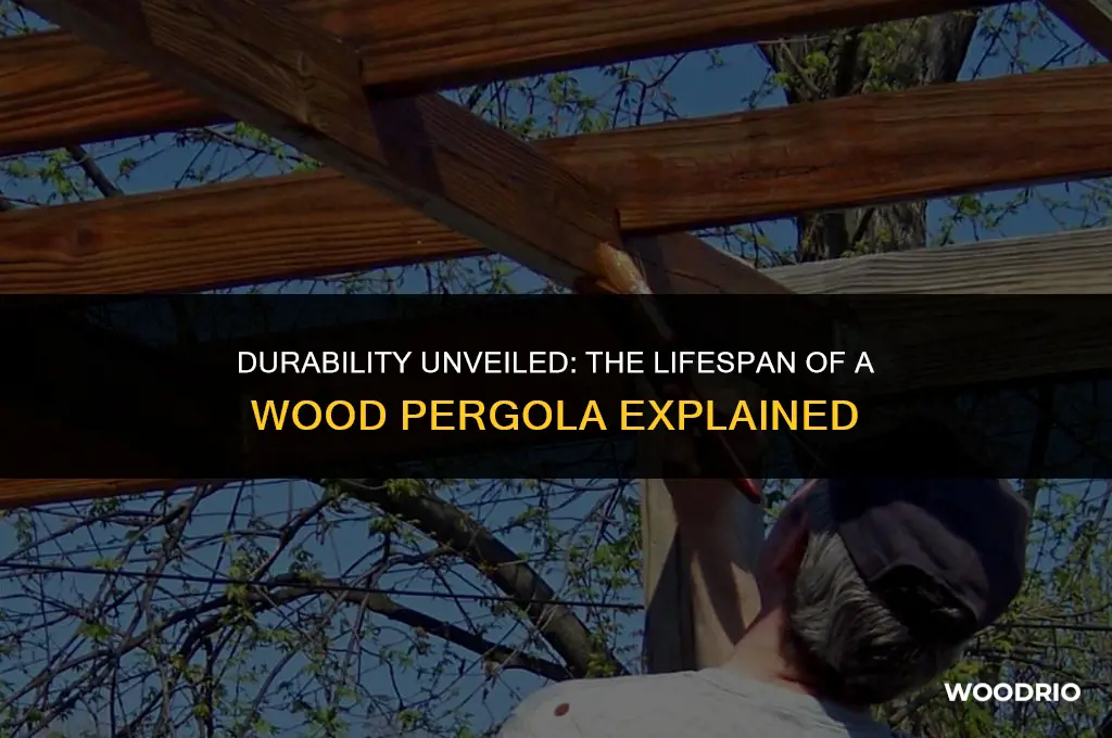 how long will a wood pergola last