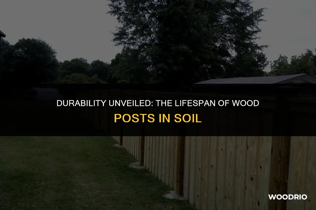 how long will a wood post last in the ground