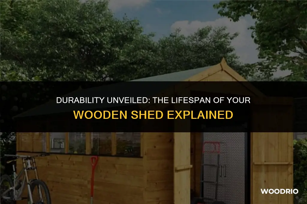 how long will a wood shed last