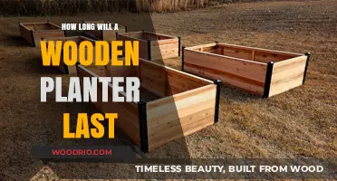 Durability Unveiled: The Lifespan of Wooden Planters Explained