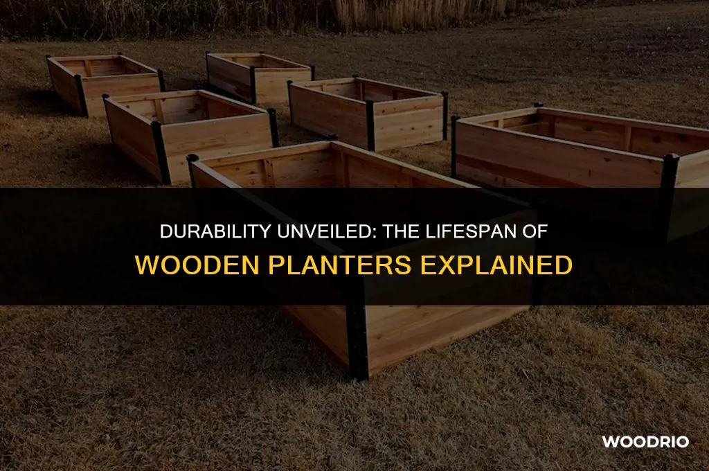 how long will a wooden planter last
