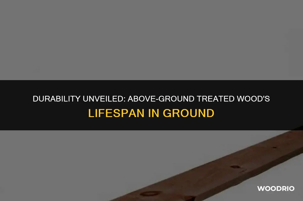 how long will above ground treated wood last in ground