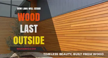 Durability of Cedar Wood: A Comprehensive Outdoor Lifespan Guide