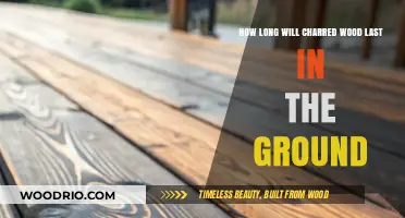 Durability Unveiled: The Lifespan of Charred Wood in Soil