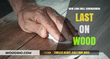 Coronavirus on Wood: Understanding the Persistence of the Virus