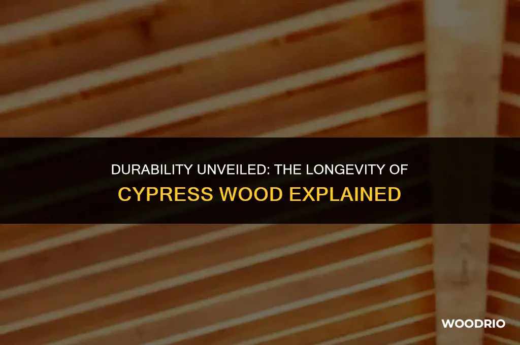how long will cypress wood last