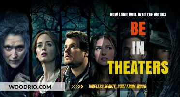 Enchanted Journey: The Theatrical Run of 'Into the Woods