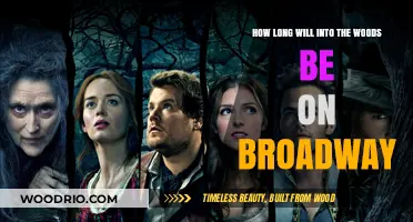 Enchanted Journey: The Timeless Magic of 'Into the Woods' on Broadway