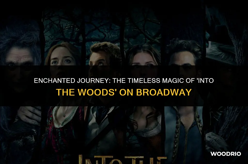 how long will into the woods be on broadway