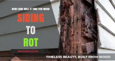 Decay Timeline: Understanding the Durability of Wood Siding