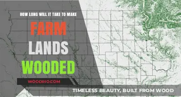 From Farmland to Forest: Understanding the Timeframe for Ecological Transition