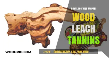 Understanding Tannin Leach Time in Mopani Wood: A Comprehensive Guide