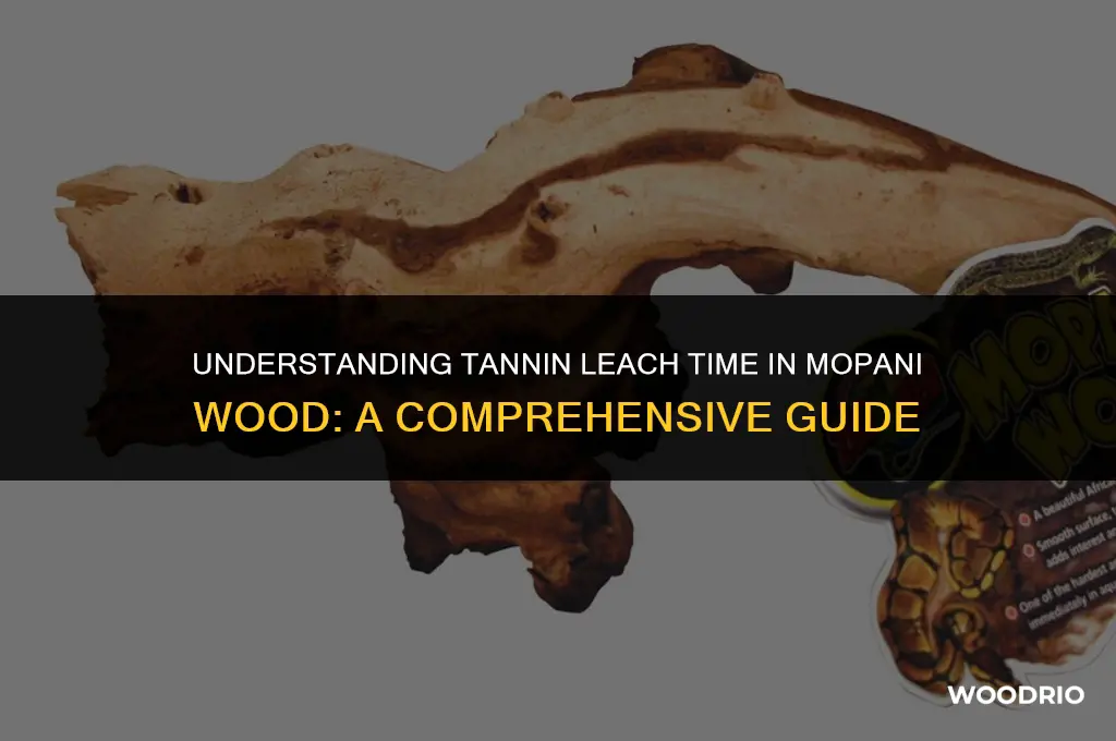 how long will mopani wood leach tannins