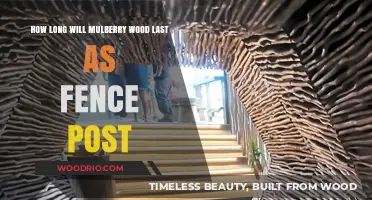 Durability Unveiled: The Longevity of Mulberry Wood as a Fence Post
