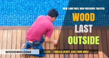 Durability Unveiled: The Lifespan of Untreated Wood Outdoors