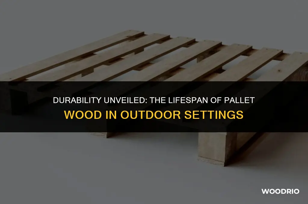 how long will pallet wood last outside