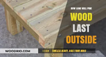 Durability of Pine Wood in Outdoor Settings: A Comprehensive Guide
