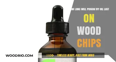Poison Ivy Oil Persistence on Wood Chips: A Comprehensive Guide