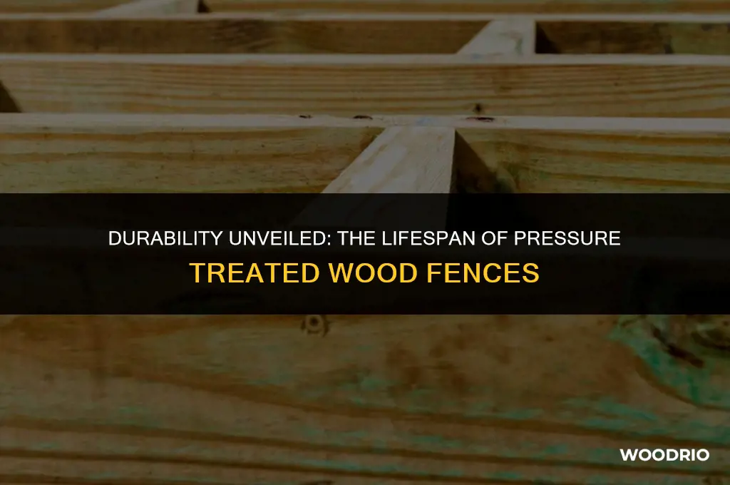 how long will pressure treated wood fence last