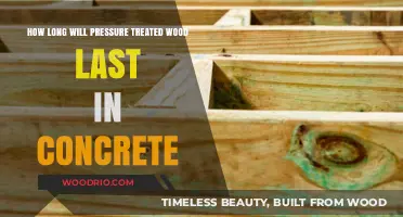 Durability Unveiled: Pressure-Treated Wood's Lifespan in Concrete