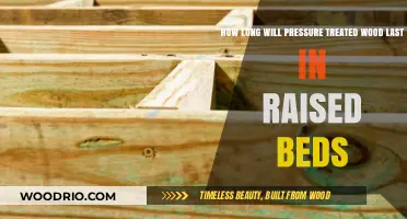 Durability Unveiled: Pressure Treated Wood in Raised Beds