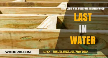 Durability Unveiled: Pressure-Treated Wood's Lifespan in Aquatic Environments