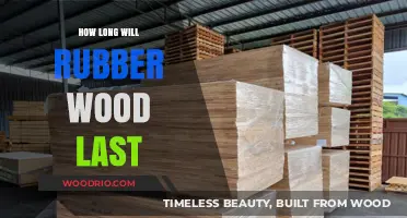 Durability Unveiled: The Longevity of Rubber Wood Explained