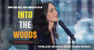 Enchanted Evenings: Sara Bareilles' Limited Run in Into the Woods