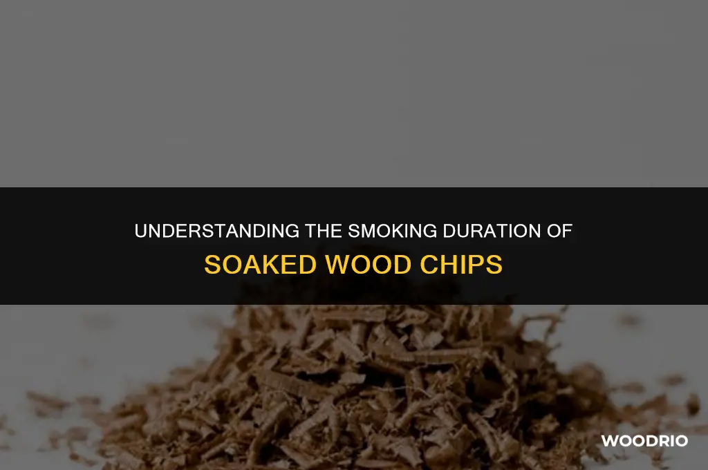 how long will soaked wood chips smoke